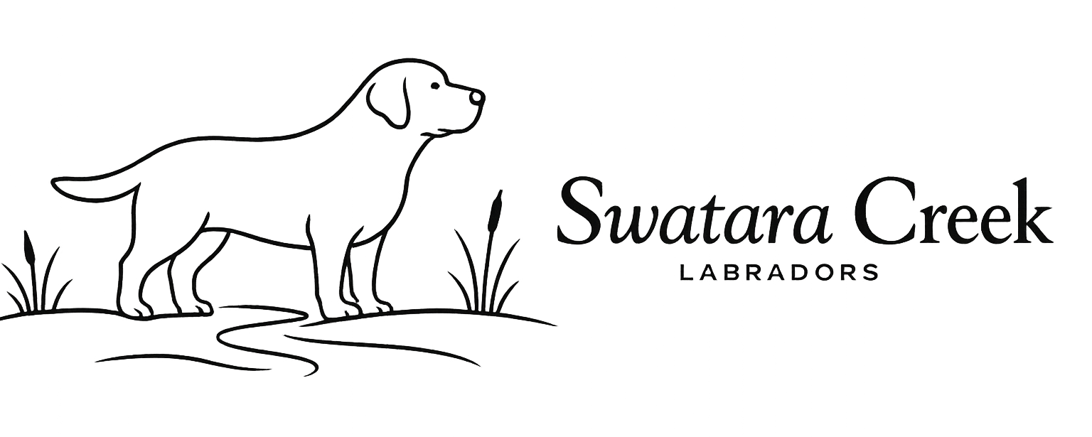 swataralabradors.com